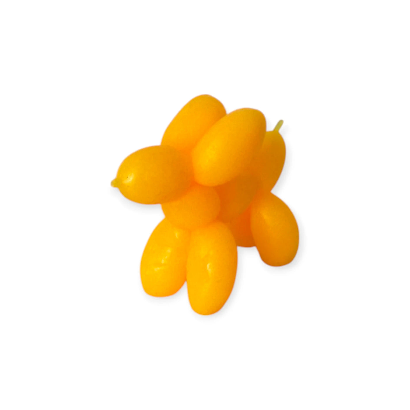 Stretchy Balloon Dog