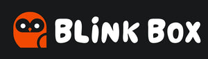 Orange owl icon next to the text "BLINK BOX" in bold white letters on a black background.