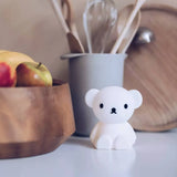 A Boris Bear Miffy Night Light, with its charming design, sits on a table beside a fruit bowl, appearing as if it's part of the delightful Miffy and Friends Light Series, nestled among kitchen utensils in a container.