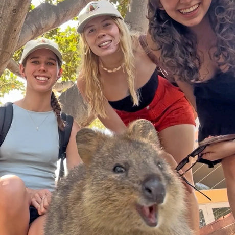 Three women smiling outdoors wearing light-colored caps with quokka embroidery and a close-up of a happy quokka in foreground