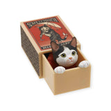 Cat in a Matchbox Blind Box