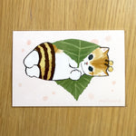 Mofusand Bumblebee Cat - Print / Postcard