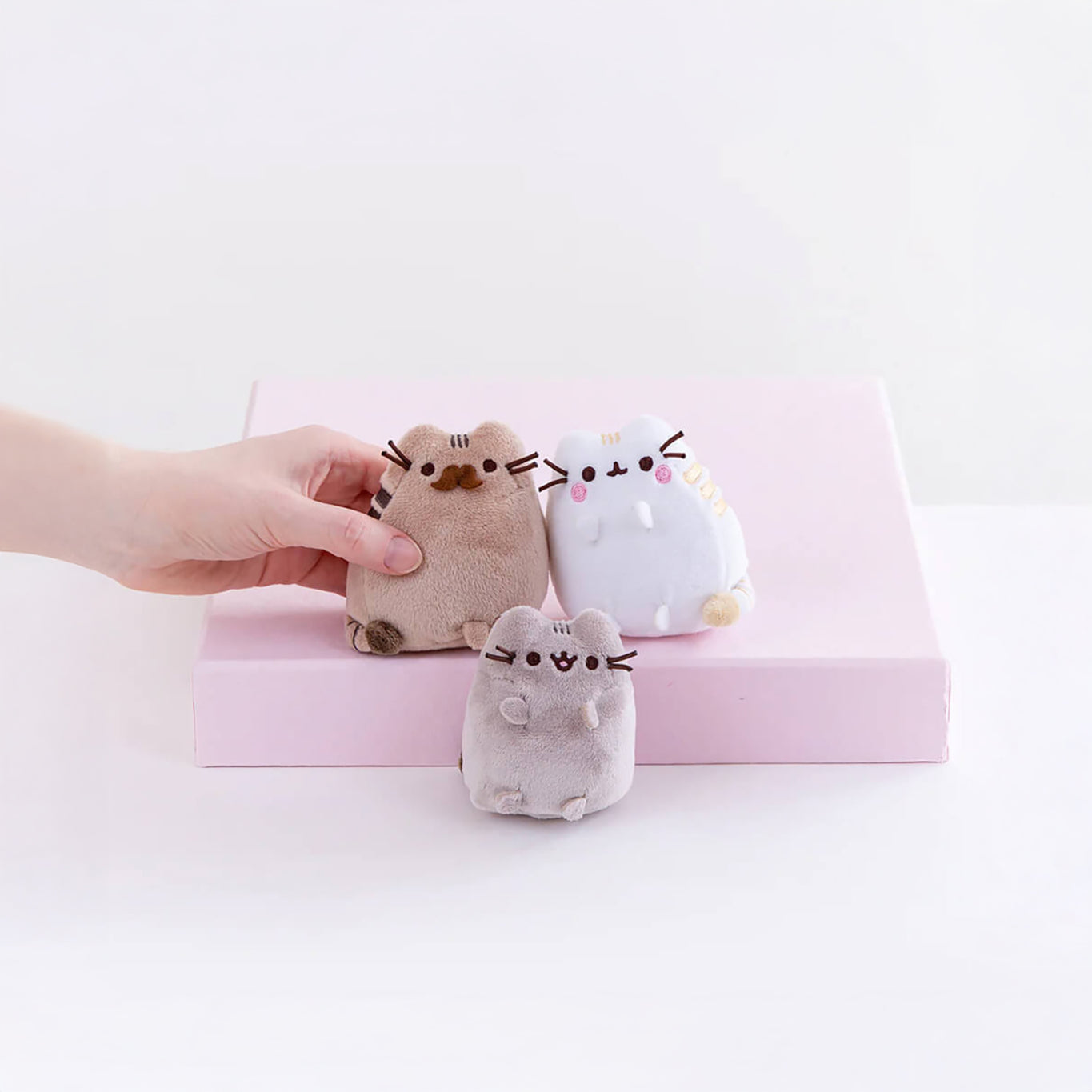 The Pusheen Family - Plushie Gift Set by Pusheen includes three small plush cat toys: a gray, brown, and white Pusheen, artfully arranged in a pink box. Perfectly fitting for family gatherings, the set features a hand gently holding the brown toy.