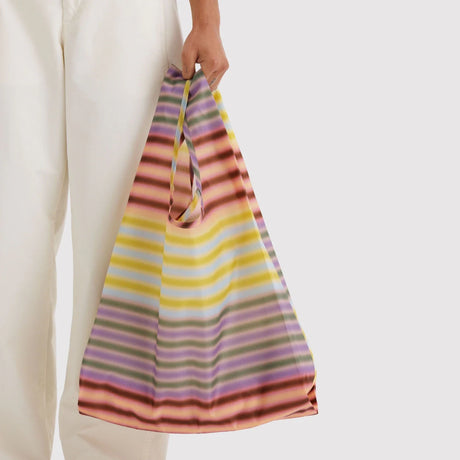 Standard Baggu Bag - Gradient Stripe Multi