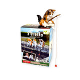 A delightful "Fishing Cats Blind Box" from Yell features an enchanting cat figurine sitting on a "Fishing Day" box, complete with a miniature fishing rod featuring a red hook. Inside, collectors will find two charming cats by a river, making it an irresistible addition for fans of whimsical cat figures.