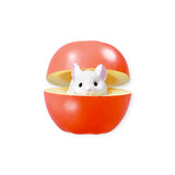 Chinchilla Hide & Seek Blind Box