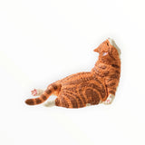 Sleeping Cats Blind Box