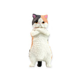 Zun!! Cat-titude Blind Box