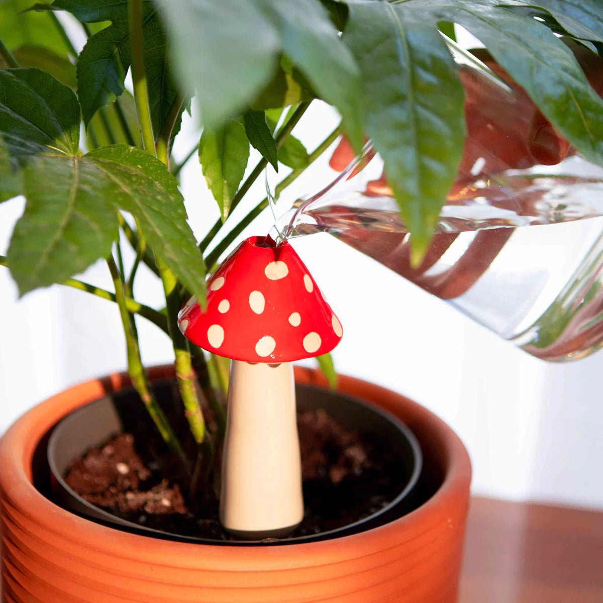 Amanita Self-Watering System for plants - Blink Box