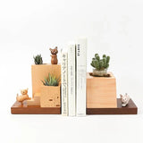 Wooden Bookshelf Cat Planter - Blink Box