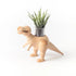 Wooden T-Rex Dinosaur Planter | Wooderful Life