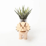 Wooden Triceratops Planter - Blink Box